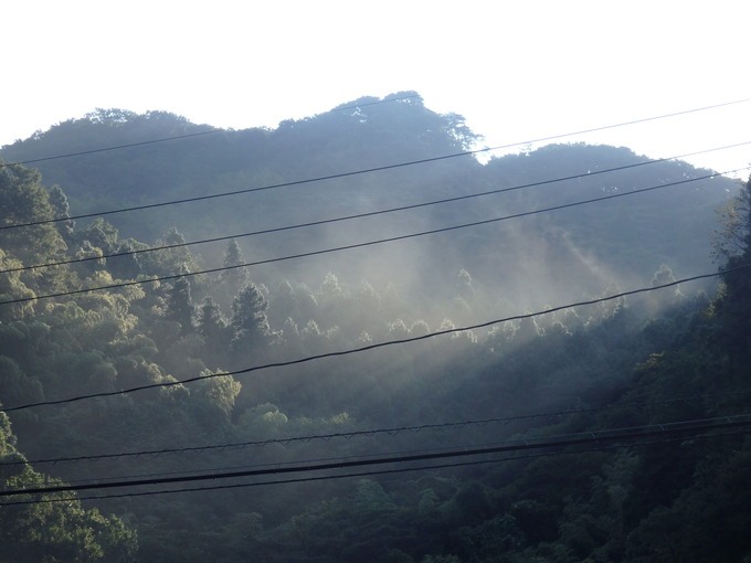 a0054240_2327875.jpg