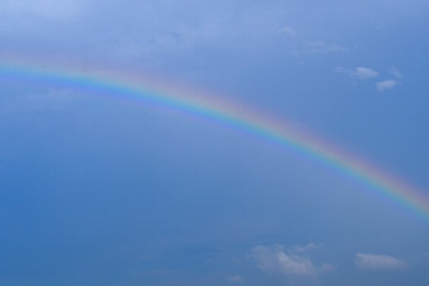 b0149340_20543692.jpg