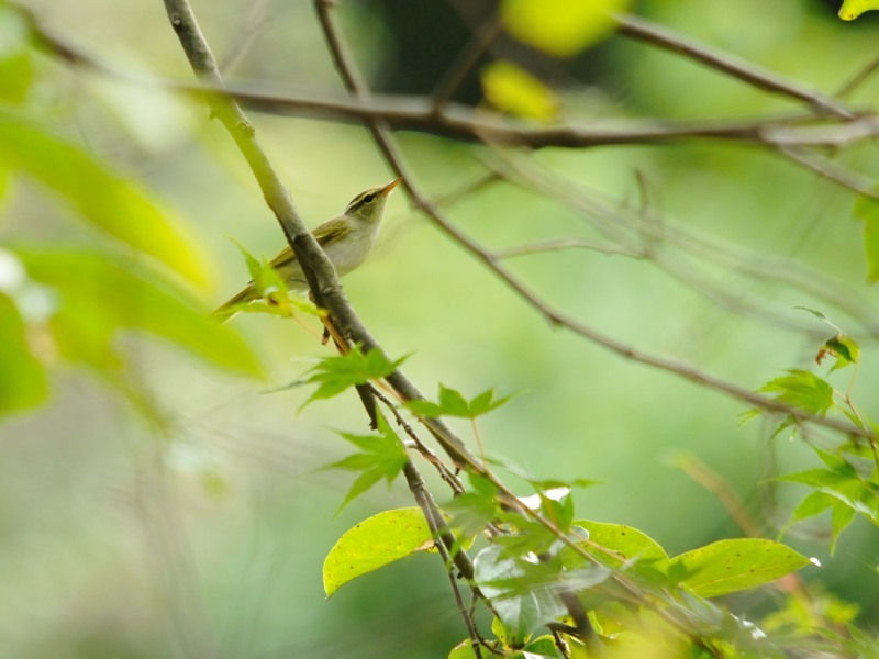 c0334250_21512392.jpg