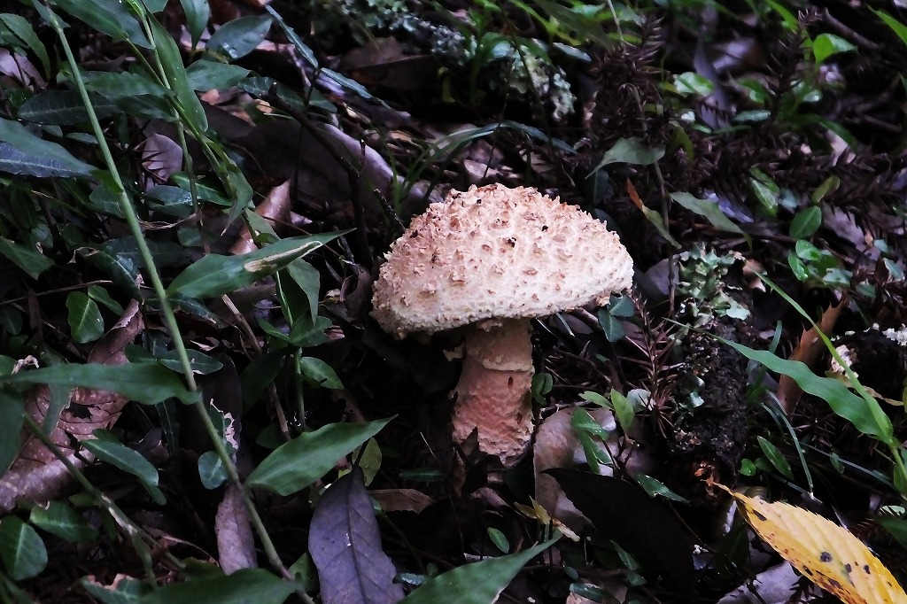 b0236251_113941.jpg