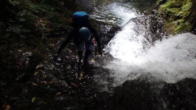 c0097754_22543397.jpg