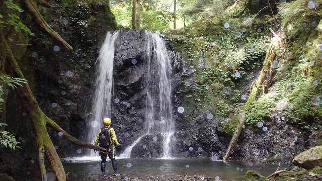 c0097754_23130425.jpg
