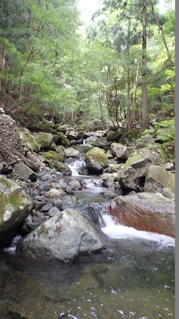 c0097754_23233992.jpg
