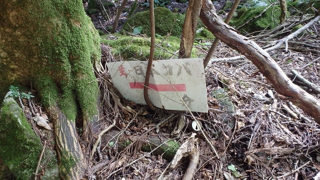 c0097754_23270997.jpg