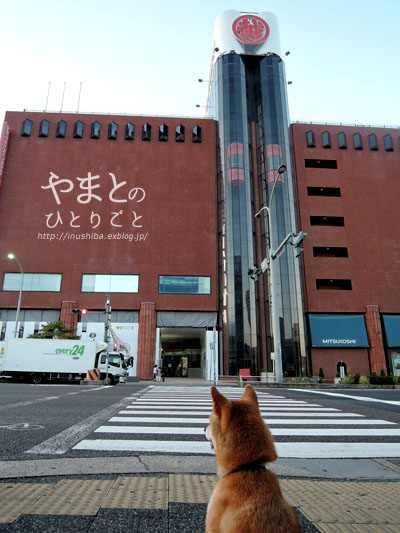 a0286855_1514549.jpg
