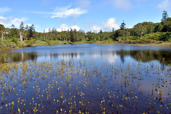 b0016557_1735836.jpg