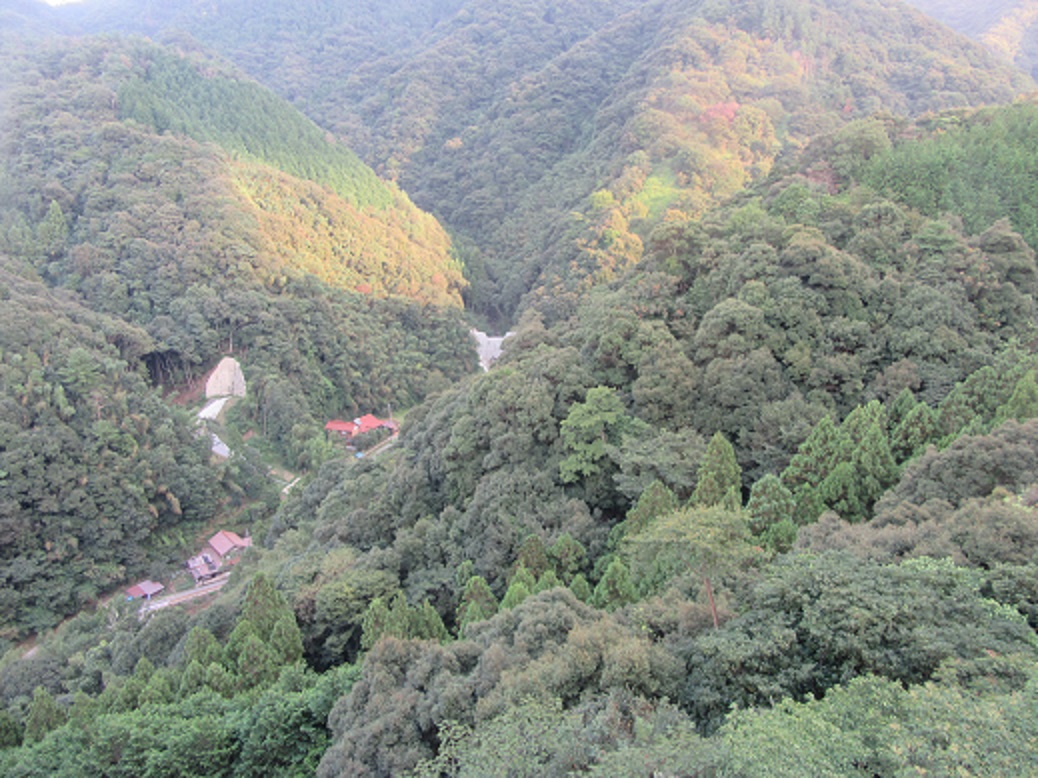 f0113862_2082614.jpg