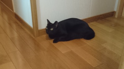 c0248067_13224355.jpg