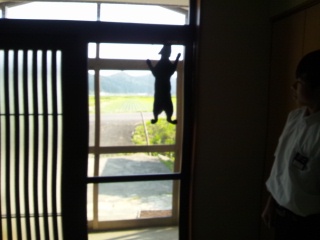 c0248067_13333744.jpg