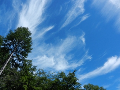 d0226767_17561983.jpg