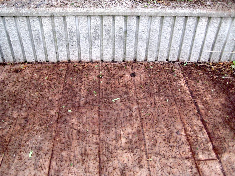 b0057679_954885.jpg