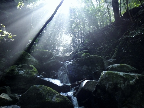 f0372285_22212253.jpg