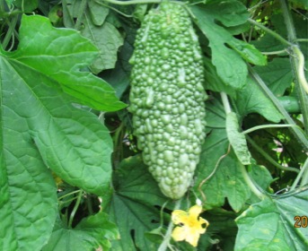 c0151898_13504575.jpg