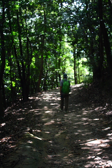 f0083400_21561360.jpg