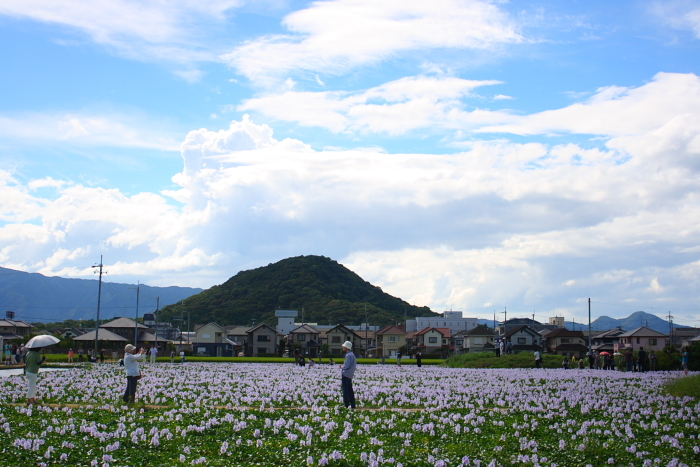 f0083400_21562086.jpg