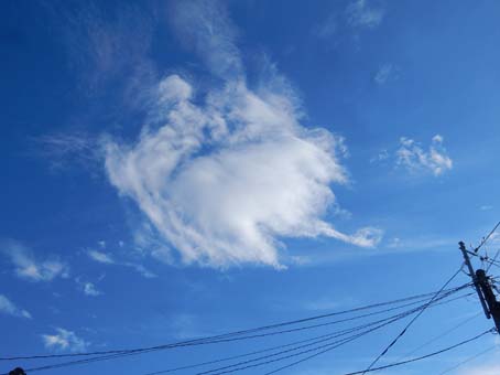 f0014205_17473370.jpg