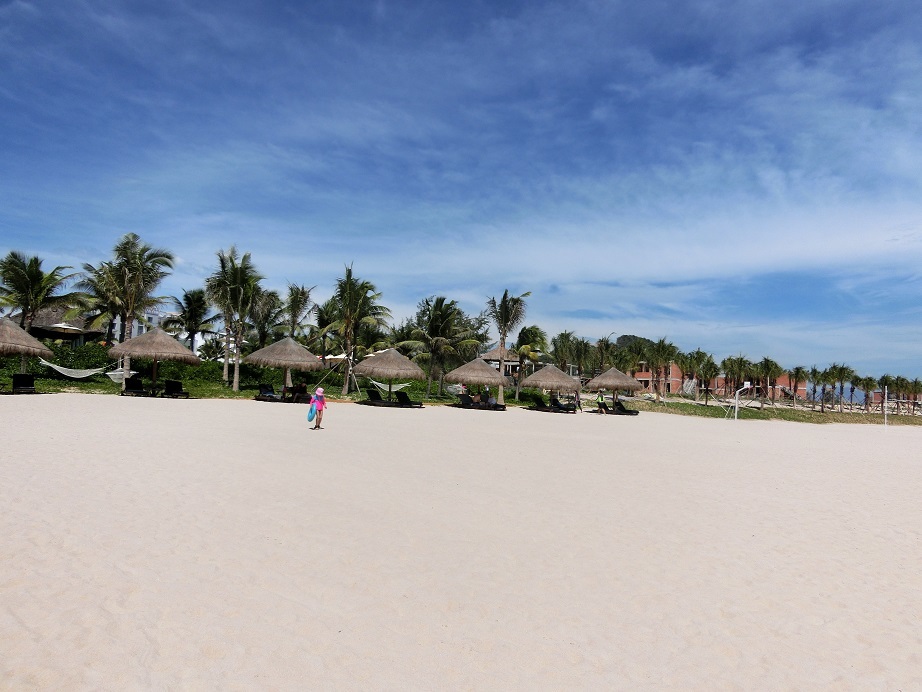 c0288307_20224833.jpg