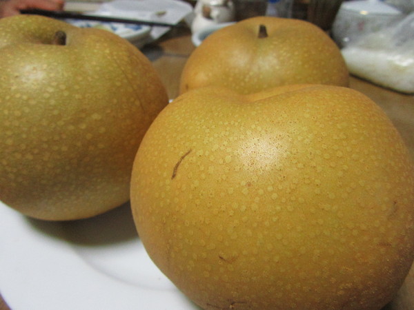 f0231709_145522.jpg