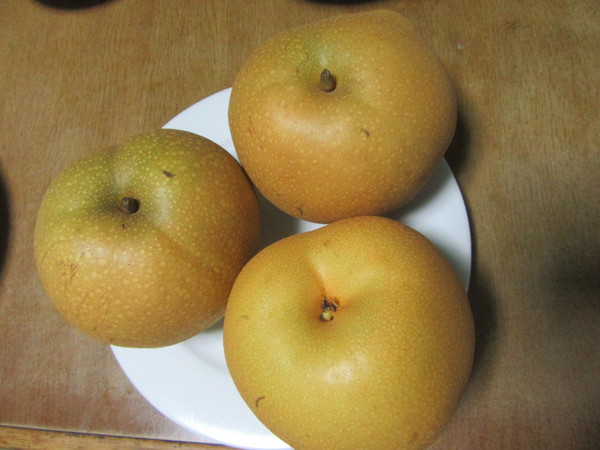 f0231709_1462985.jpg