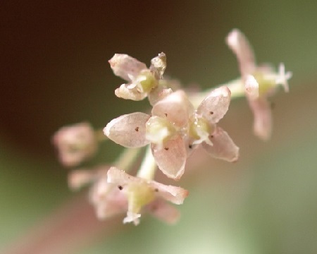c0247614_23151990.jpg