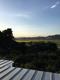 e0149215_1975029.jpg