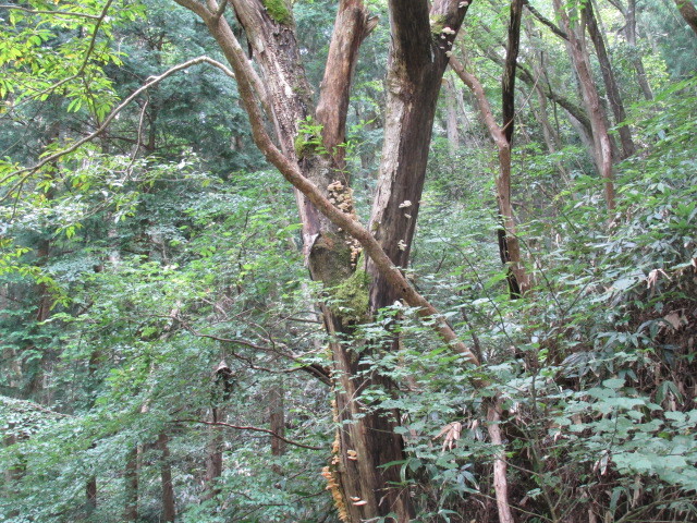 f0341616_16393425.jpg