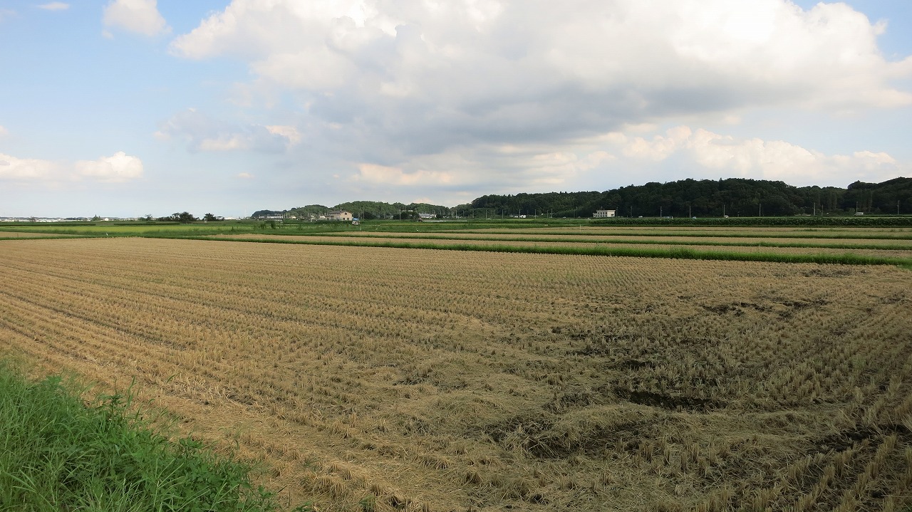 f0225627_20474679.jpg
