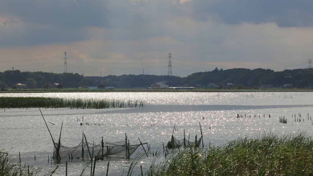 f0225627_20483644.jpg
