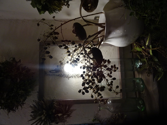 c0102228_19852100.jpg
