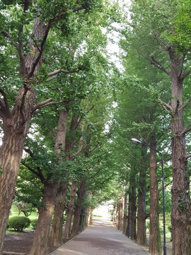 e0016828_09291196.jpg