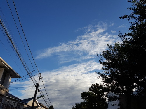 e0016828_09311701.jpg