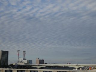 c0191843_191455100.jpg