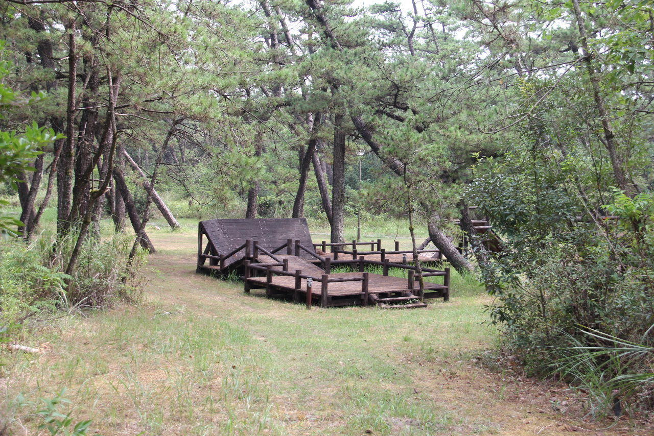 c0011649_5172219.jpg