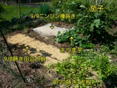c0330749_20031043.jpg