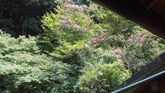e0036151_20570178.jpg