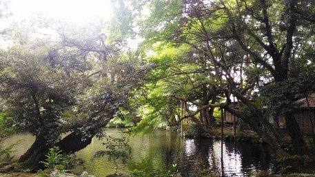 c0190960_21374493.jpg