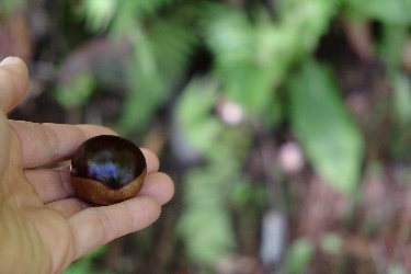 f0035962_10441871.jpg