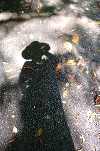 f0035962_10443236.jpg