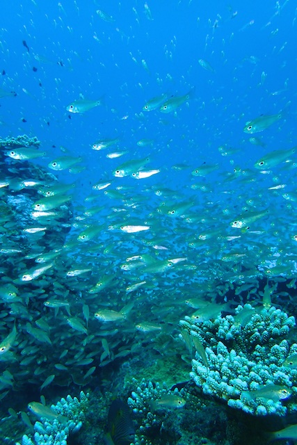 b0062363_15584442.jpg