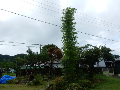 f0054677_07434186.jpg