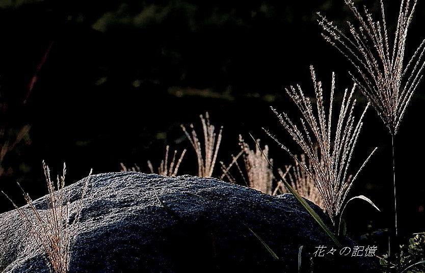 c0357781_12012834.jpg