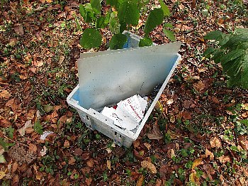 f0003283_05032596.jpg