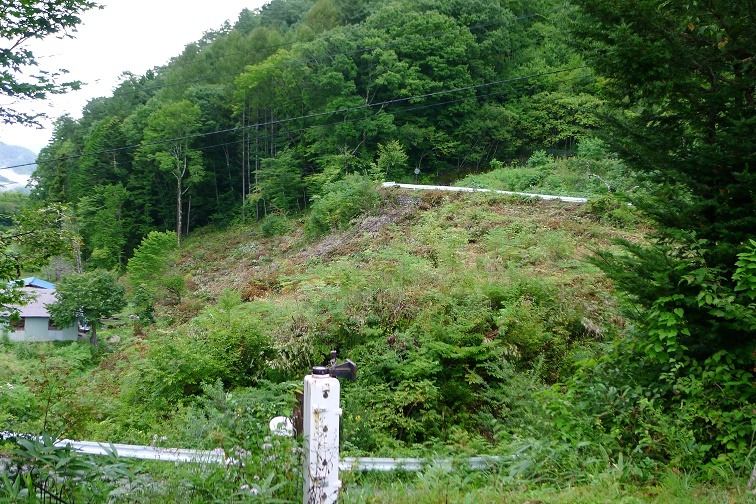 a0130586_11214429.jpg