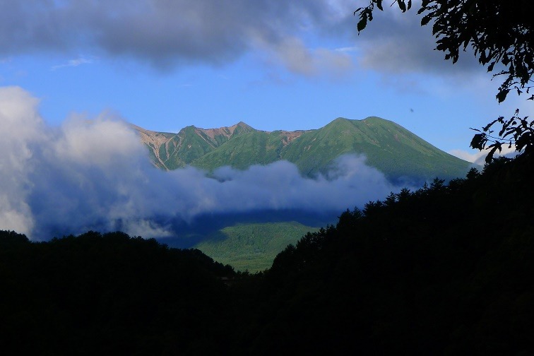 a0130586_11254471.jpg