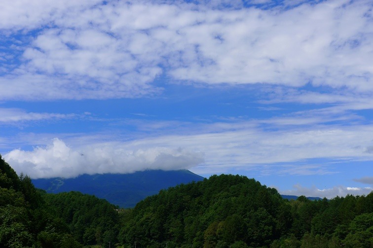 a0130586_11405052.jpg