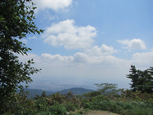 a0251786_20524929.jpg