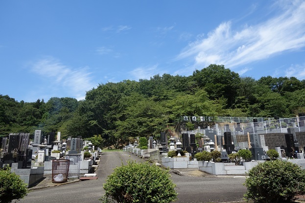 d0183387_16321993.jpg
