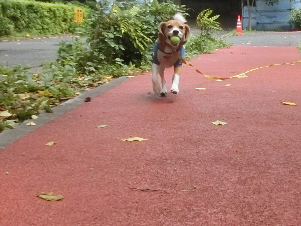 a0319693_8302954.jpg