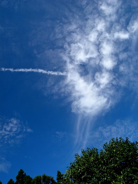 a0199297_22530889.jpg