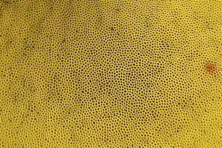 b0050305_20344612.jpg